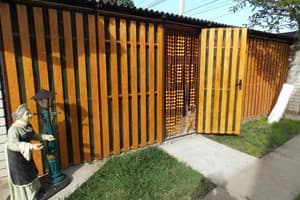 АкунаМатата 11