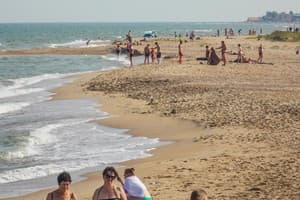 АкунаМатата 18