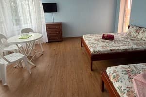 Отель Буревестник 411А. Трехместный  4