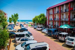 Дельфин на ст. Солнечной 4