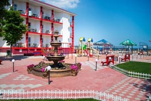 Дельфин на ст. Солнечной 6