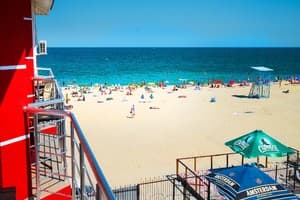 Дельфин на ст. Солнечной 8