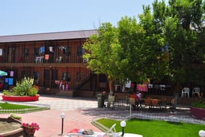 Дельфин на ст. Солнечной 14