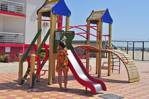 Дельфин на ст. Солнечной 27