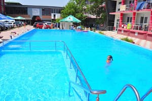 Дельфин на ст. Солнечной 28