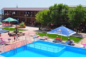 Дельфин на ст. Солнечной 29