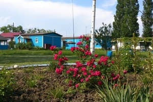 Сигнал 5