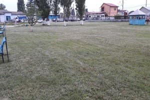 Сигнал 15