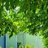 Мини-отель Вилла Клавдия. Стандарт двухместный  7