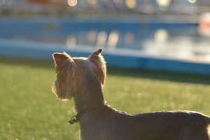 Weekend Family Hotel 6